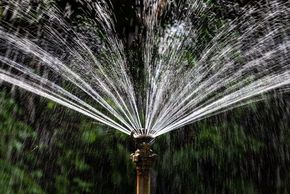 Sprinkler bewässert einen Garten